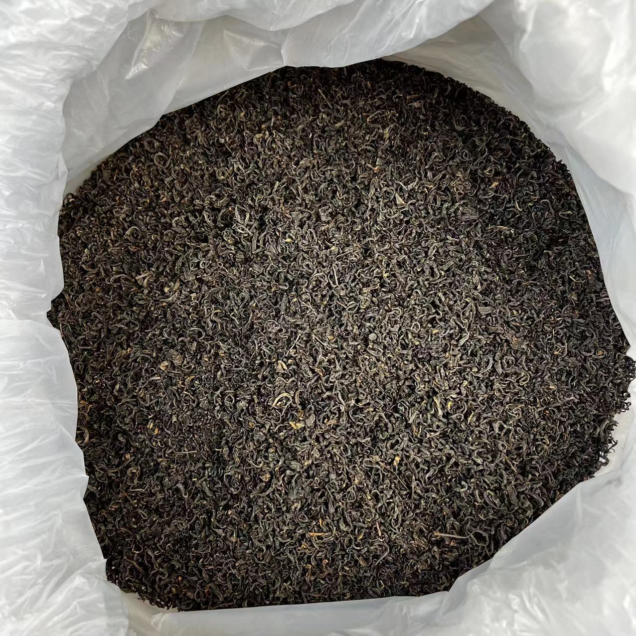 2025年日照春红茶一斤浓香型500g