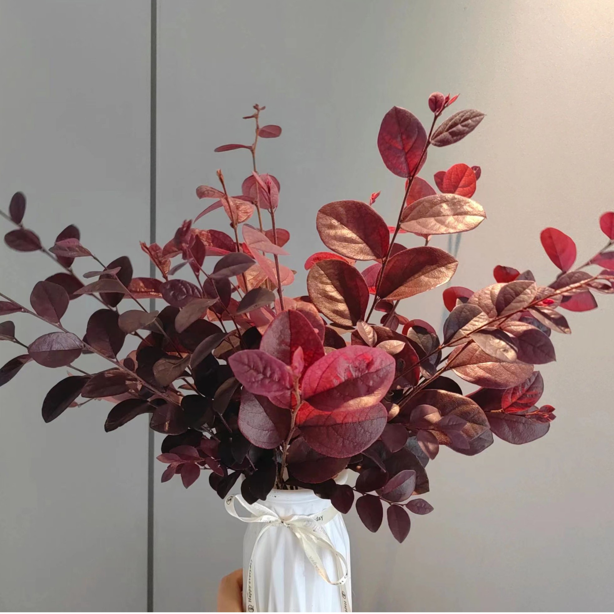 【福利爆款】 红继木 红花继木 配花配草 店铺现货包邮 鲜花鲜切花