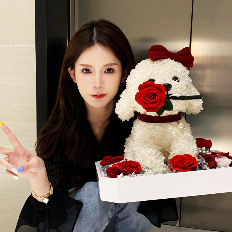 joyflower永生花泰迪小狗玫瑰干花生日情人节礼物送女生朋友女孩
