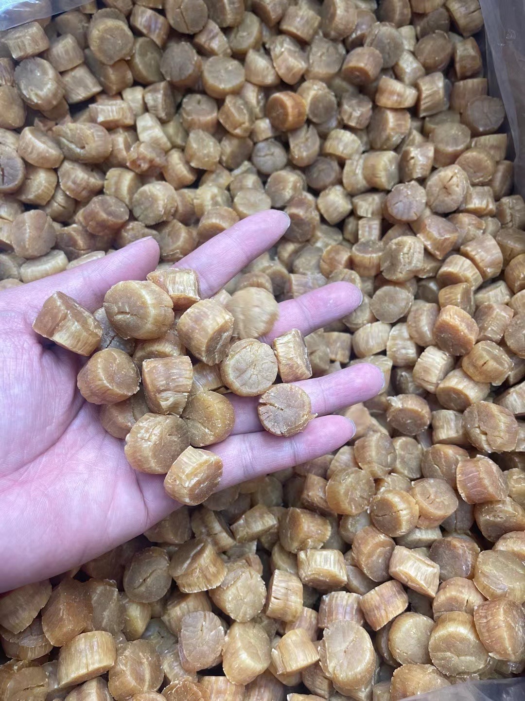 【80-90头】足干元贝 纯淡干 煲汤 煲粥 精选特级 500g 