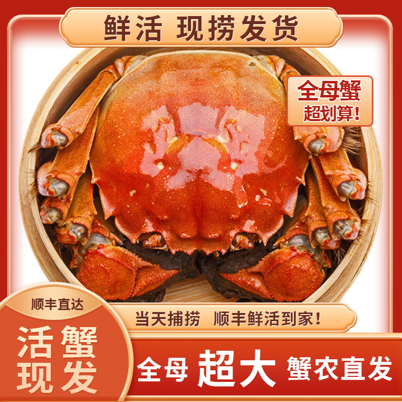 鲜晨香【活蟹现发】1大闸蟹(3.0两-2.7两)8只全母大螃蟹顺丰包邮