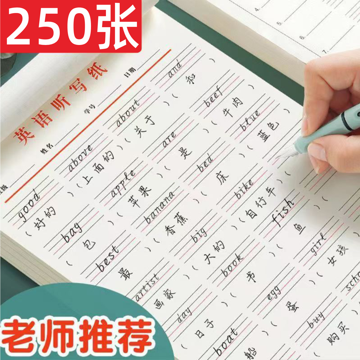 英语听写纸单词句子默写本英汉互译作业本英语听写本小学初中高中