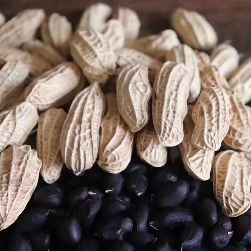 2025年新货黑花生真宗云南镇沅小粒带壳1斤生吃软糯送礼新晒包邮