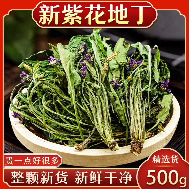 紫花地丁干货正品新货 地丁草 铧头草 野堇菜