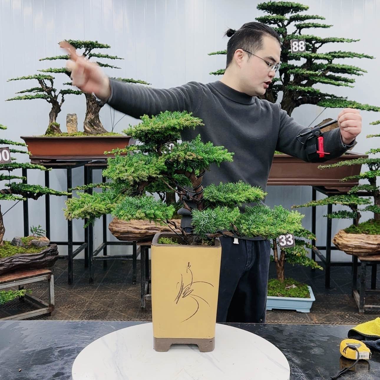 【闪购商品】高端盆景