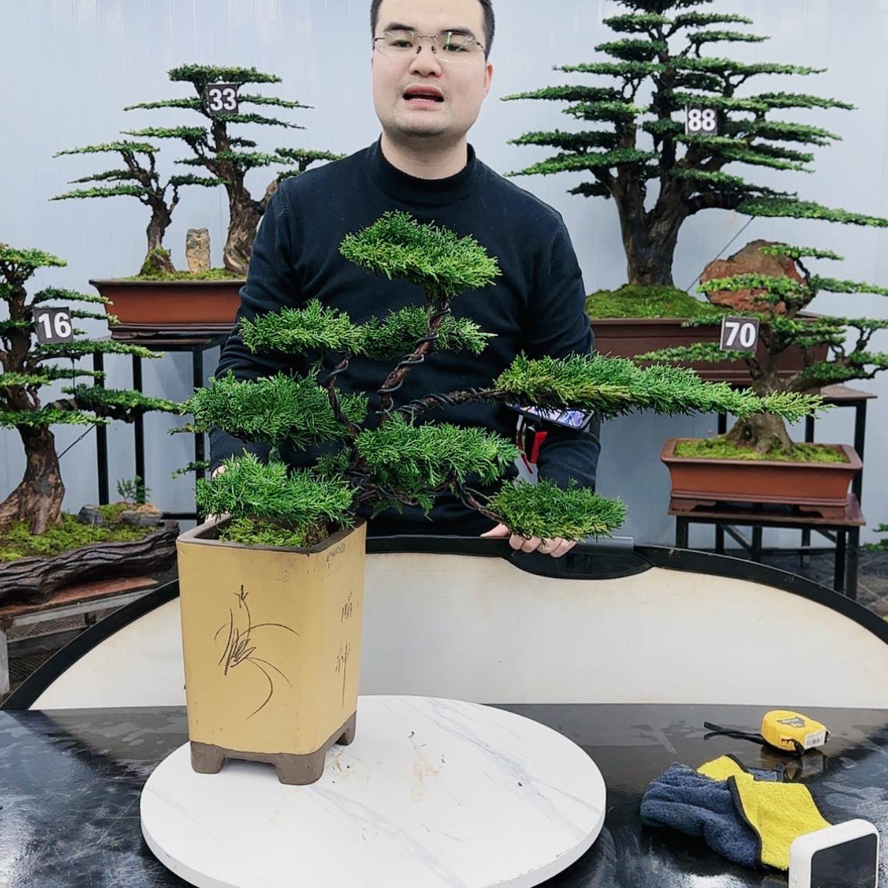 【闪购商品】高端盆景