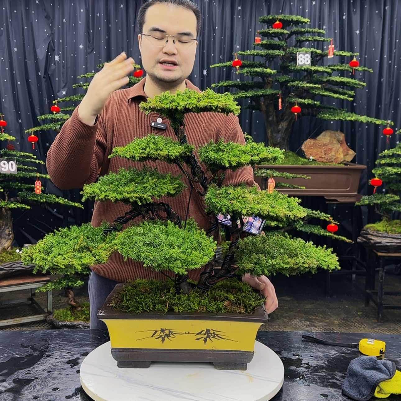 【闪购商品】高端盆景