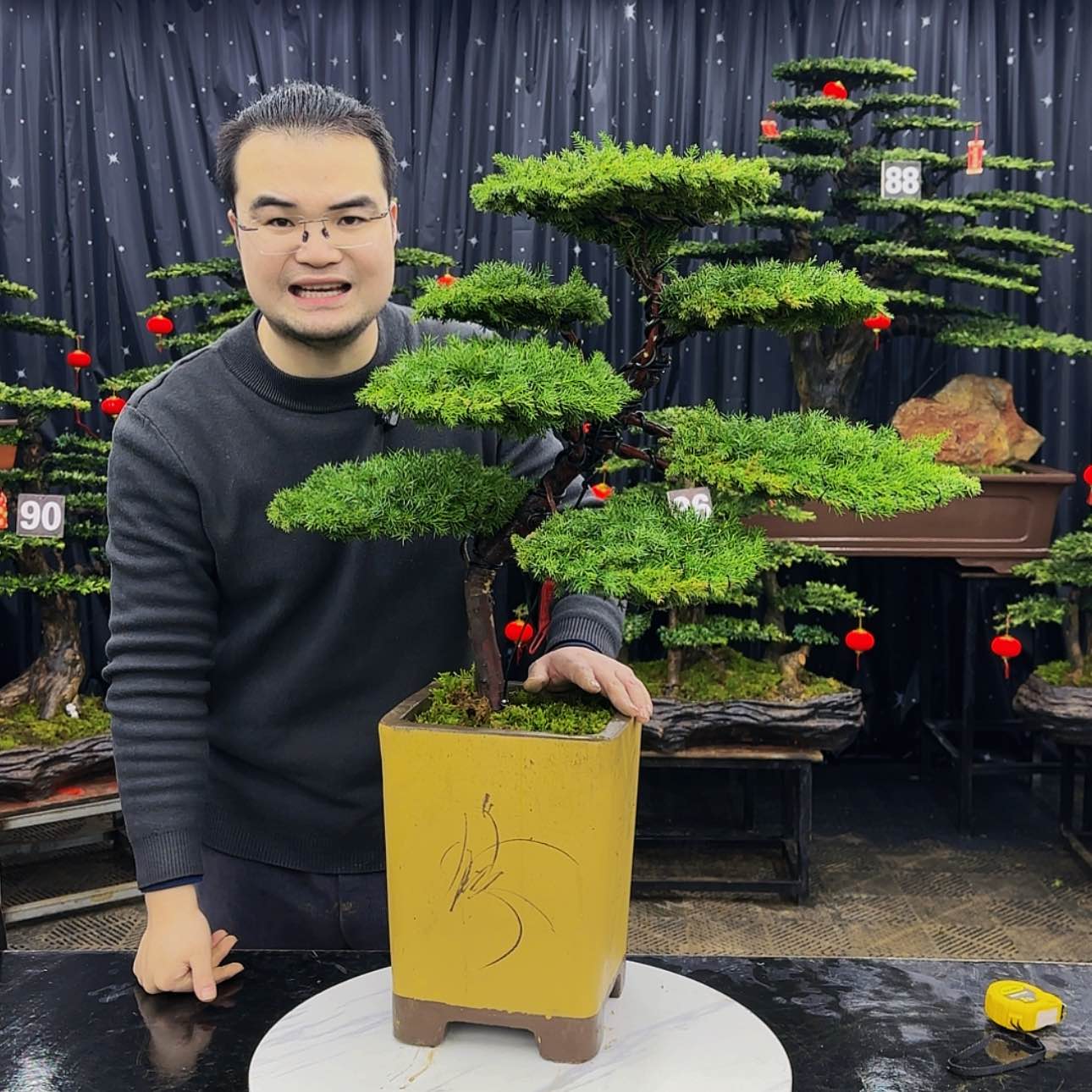 【闪购商品】高端盆景