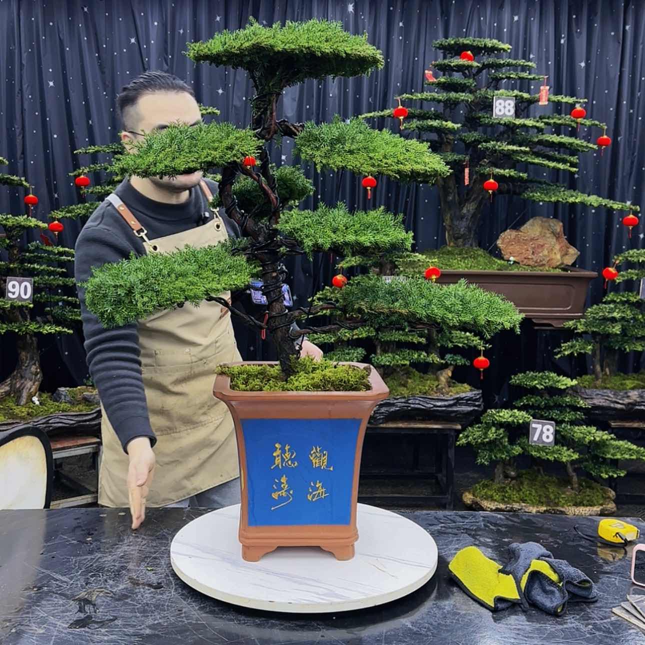 【闪购商品】高端盆景