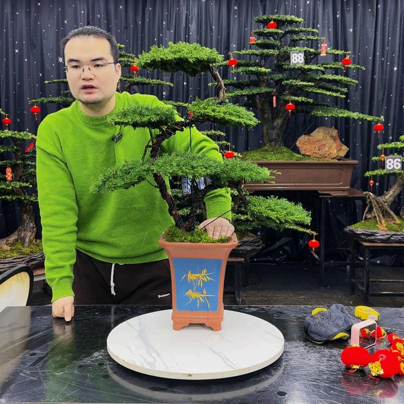 【闪购商品】高端盆景