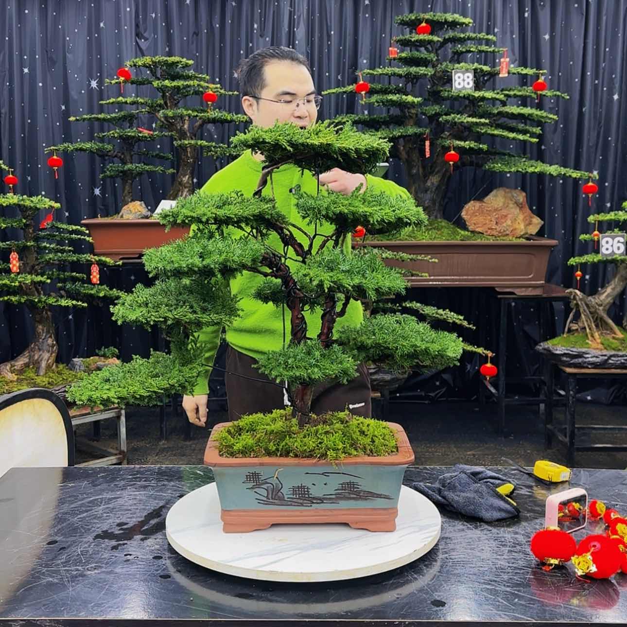 【闪购商品】高端盆景