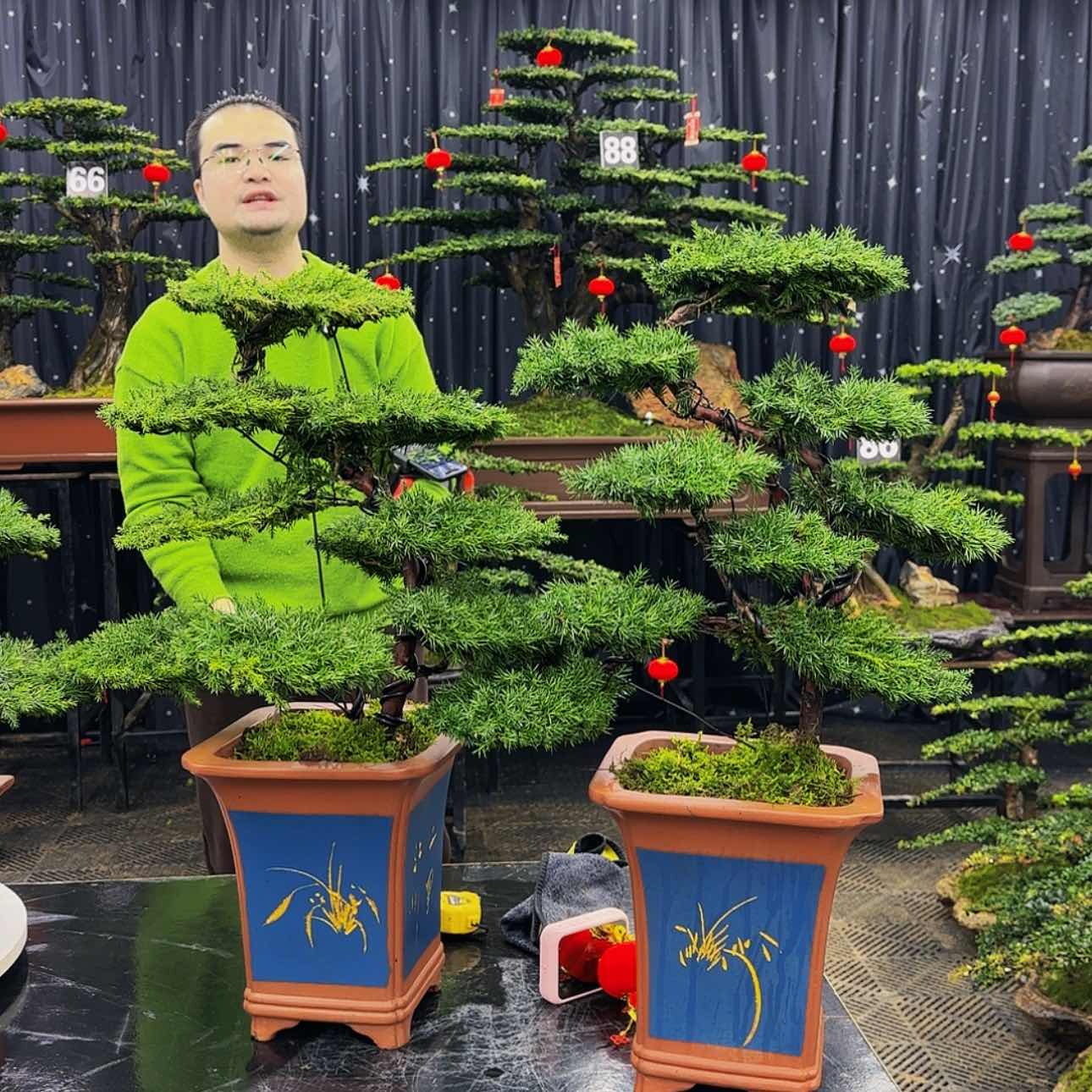 【闪购商品】高端盆景