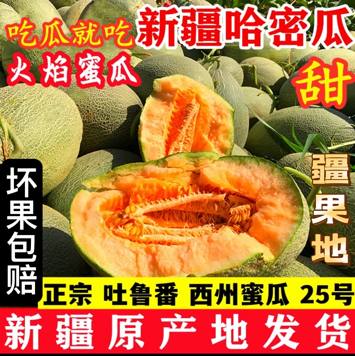 【包邮】新疆哈密瓜西州密25号脆甜爆汁爽口吐鲁番新鲜采摘产地直发