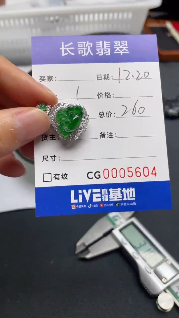 【闪购商品】翡翠颈饰银S925镶嵌5604