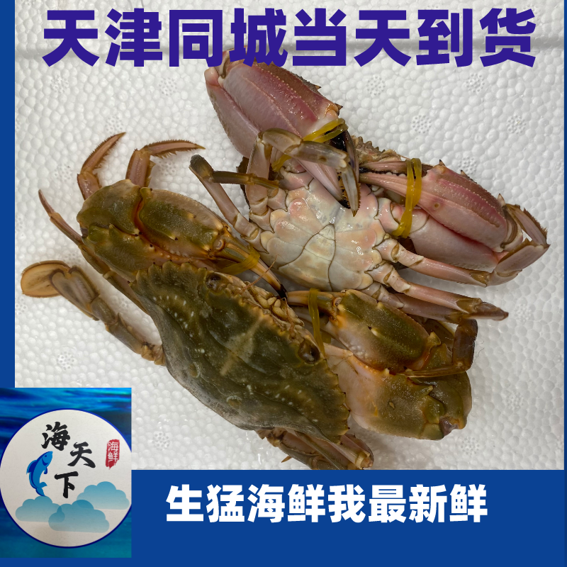 断氧螃蟹 3-5斤装 天津同城当天到