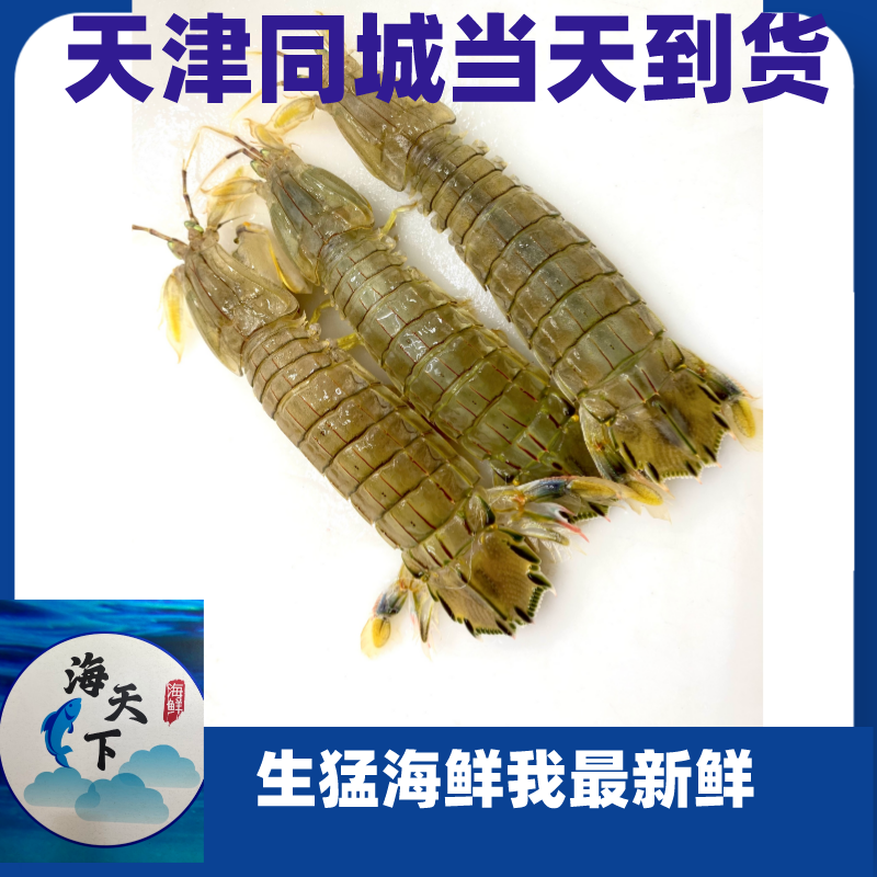 【皮皮虾】 断氧皮皮虾 3-5斤装 同城当天到