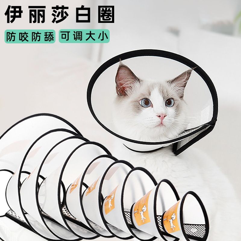 伊丽莎白圈宠物防护罩猫狗清洁美容罩防舔头套防护用品狗项圈小型