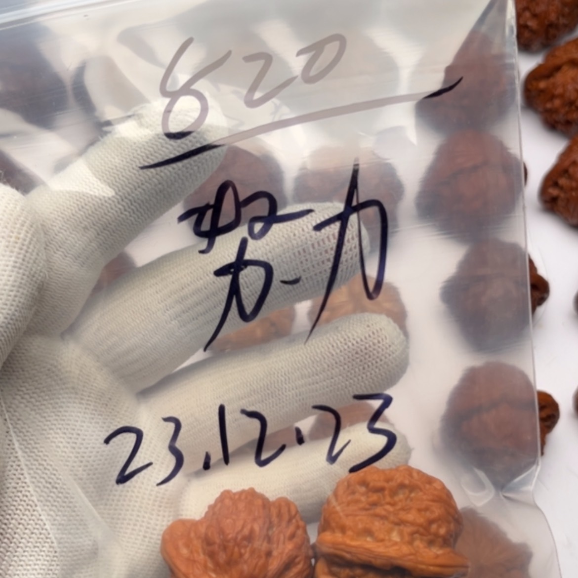 【闪购商品】桃核吊坠努**班