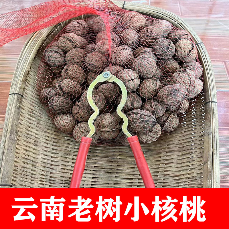 云南大理2/5斤包邮 老树薄皮小核桃