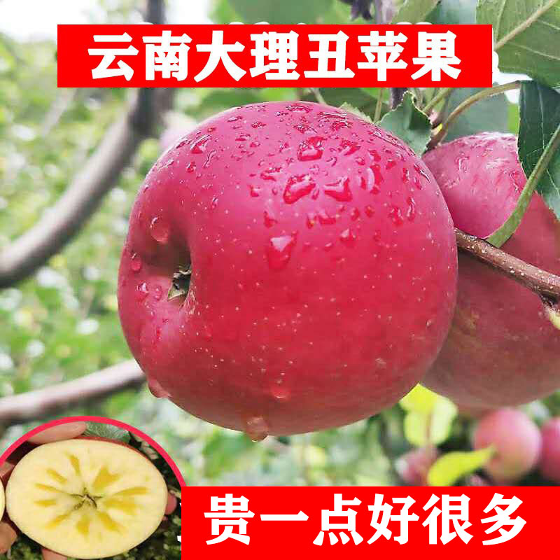 云南大理冰糖心丑苹果非新疆昭通红富士当季新鲜水果5/9斤苹果