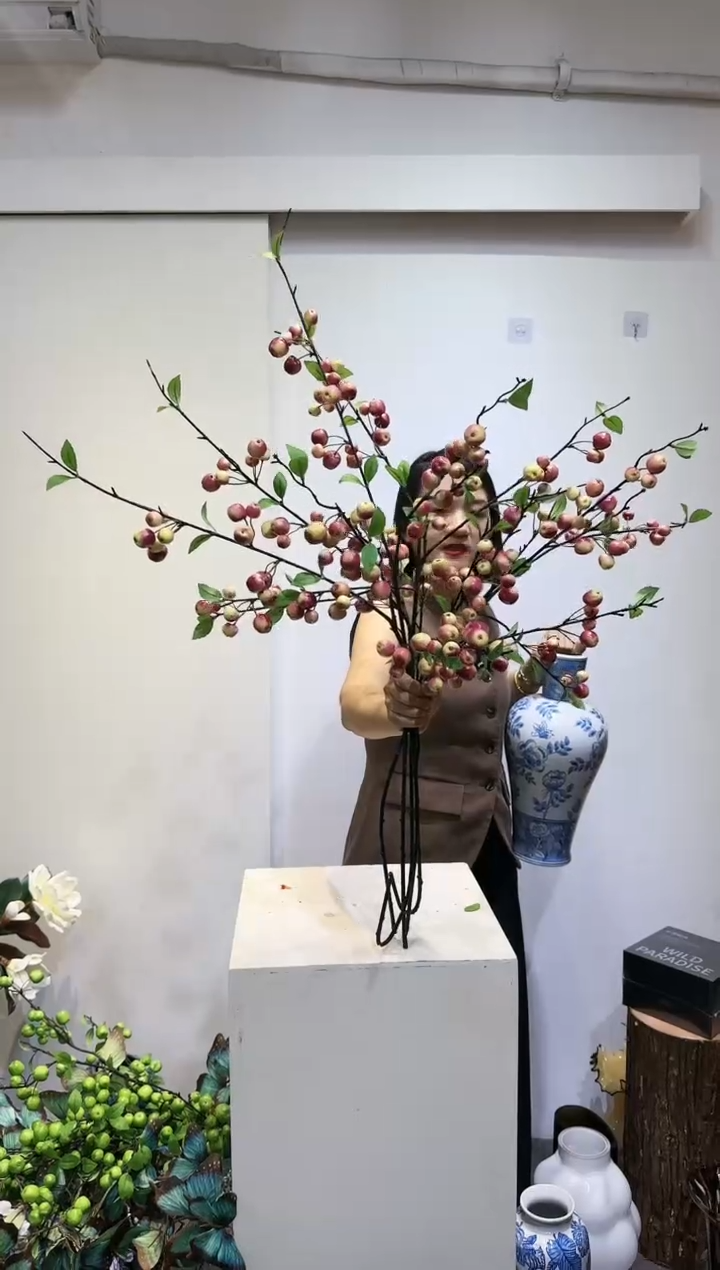 【闪购商品】红陶20CM（含）-50CM（不含）5支咖色小苹果