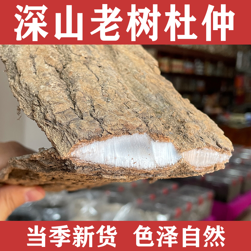 【杜仲块】老树杜仲皮干货泡酒煮水泡茶煲汤煲猪腰汤猪尾黑豆优选