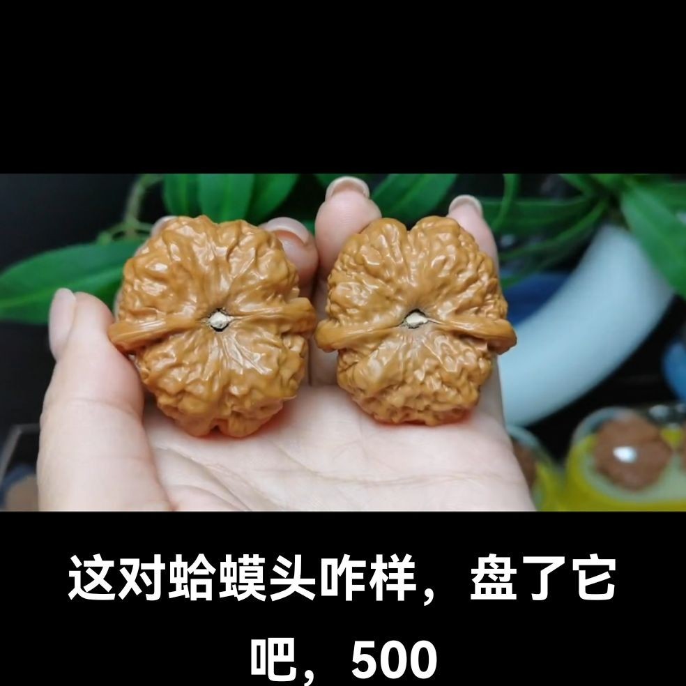 产地直销，手捻儿核桃，物美价值，有喜欢的家人们欢迎选购。