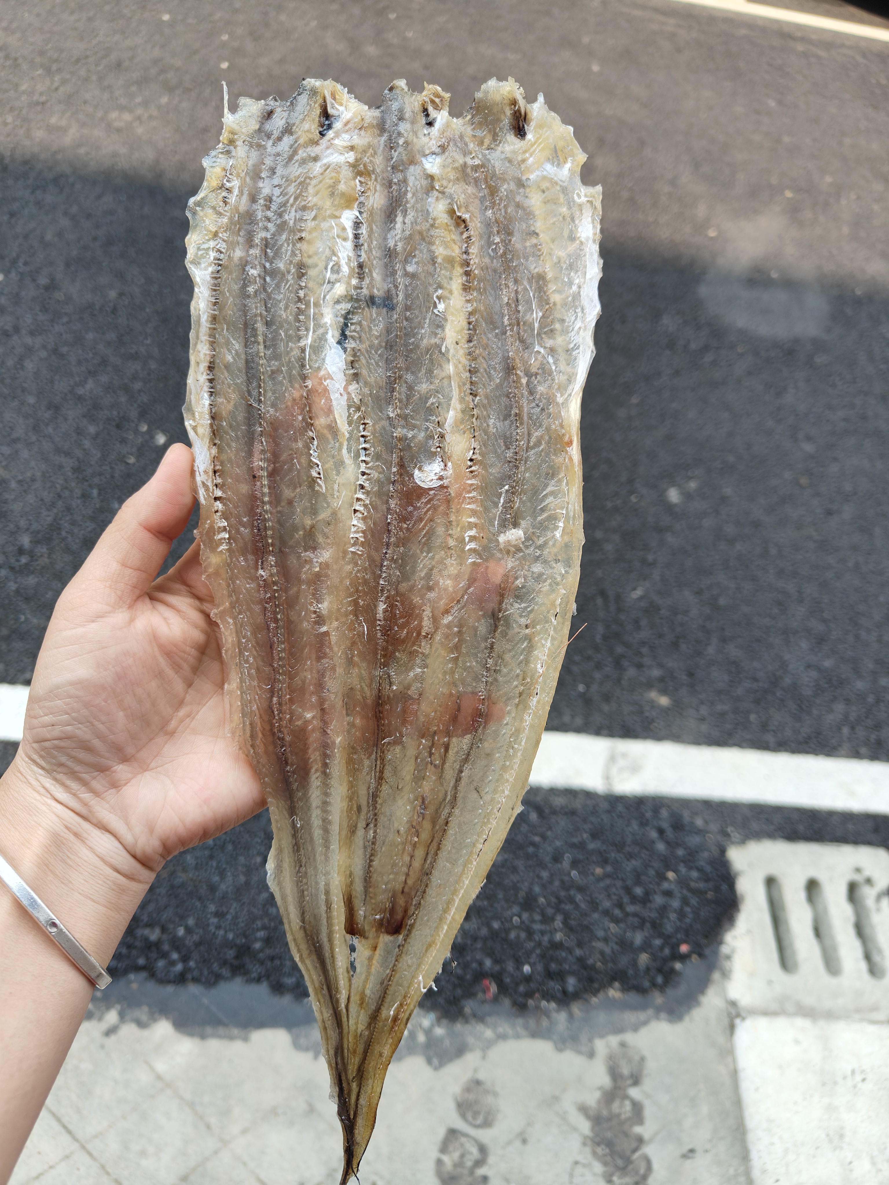 北海白鳝干鱼干甜味