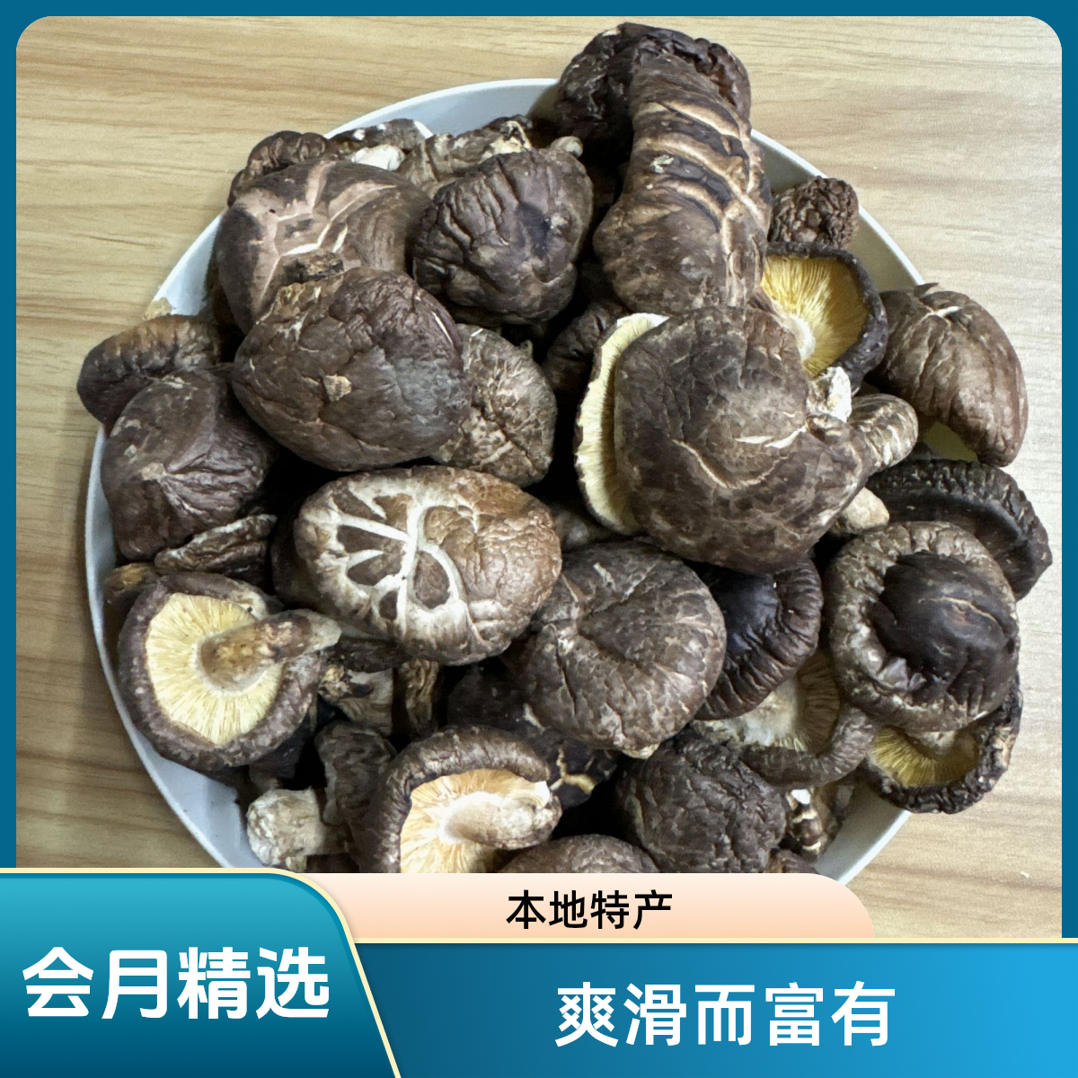 【会月精选】粤北特产韶关始兴野生香菇花菇山区鲜香好货营养甄选