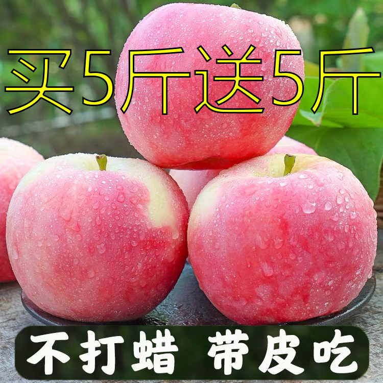 【新鲜采摘】高山甜脆红富士洛川苹果新鲜丑苹果冰糖心营养现摘发货