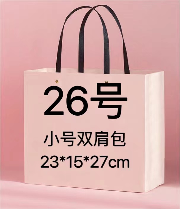 C【26号】洋气轻奢时尚休闲百搭女士潮流经典春夏气质小号双肩包