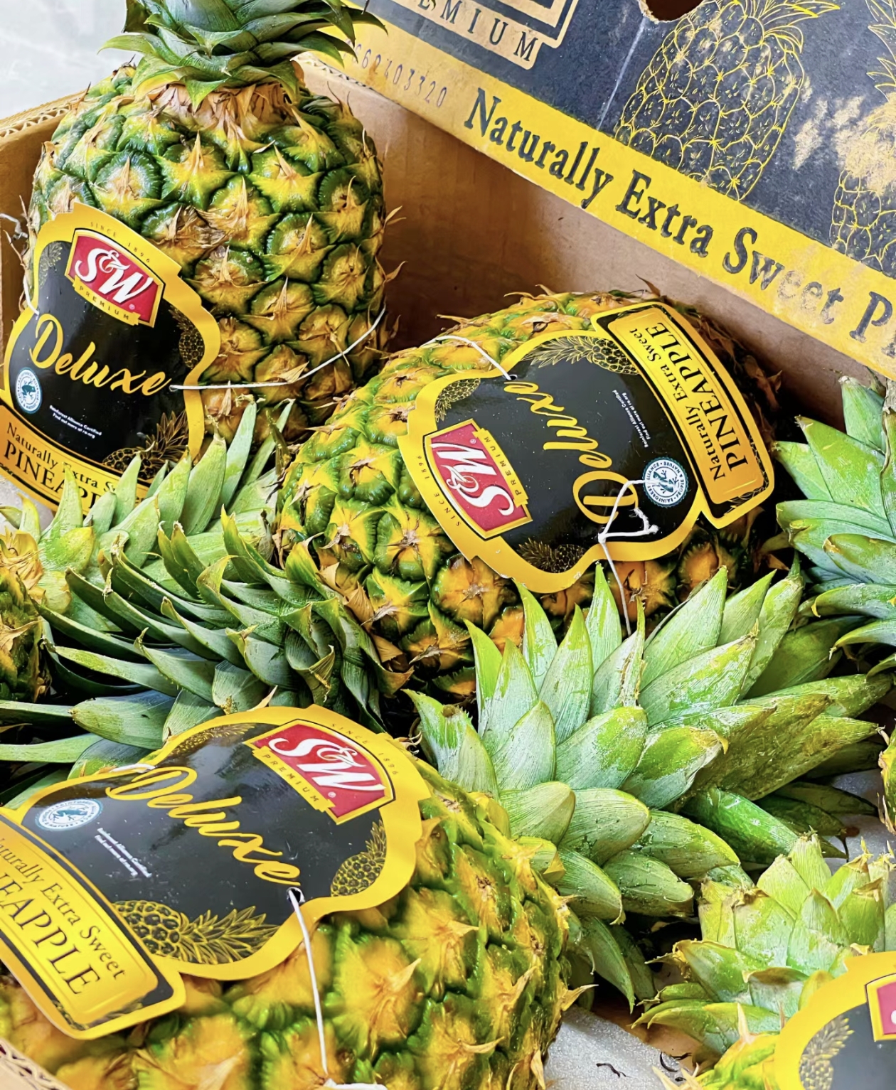 SW菲律宾进口凤梨 口感好吃