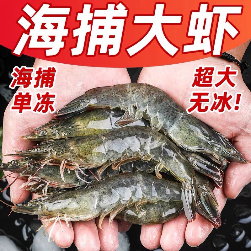 【净重3斤】3040青岛海洋海捕大虾15-17厘米活冻锁鲜 顺丰
