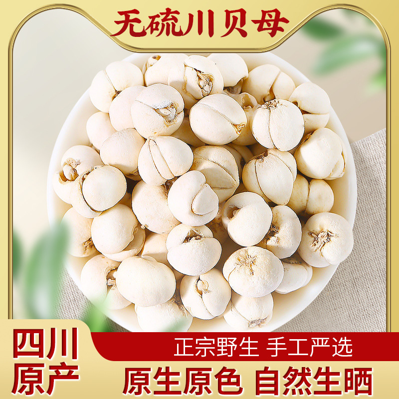 川贝母 20克川贝母怀中抱月四川贝母阿坝州