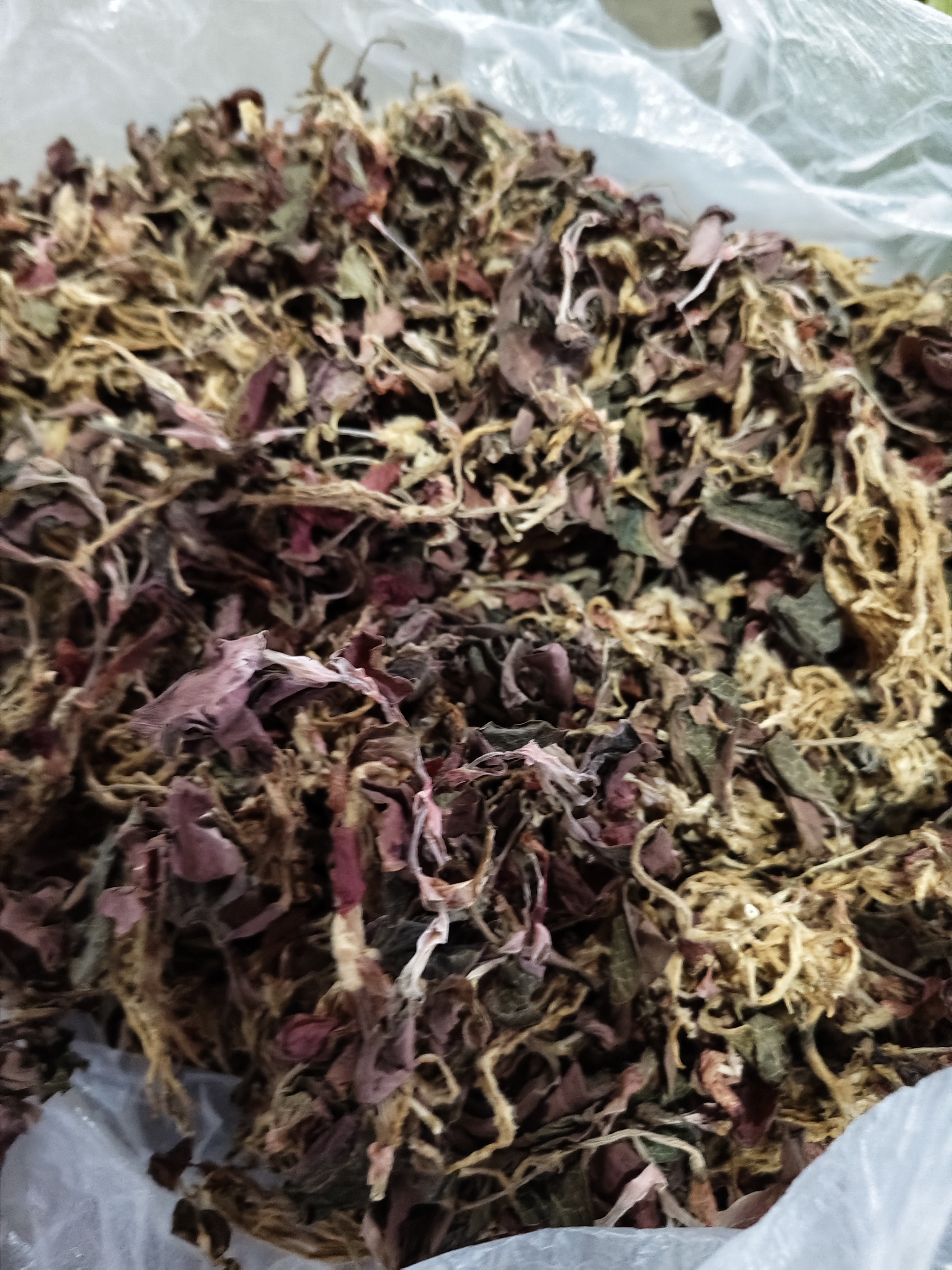 边城土特----金限莲根