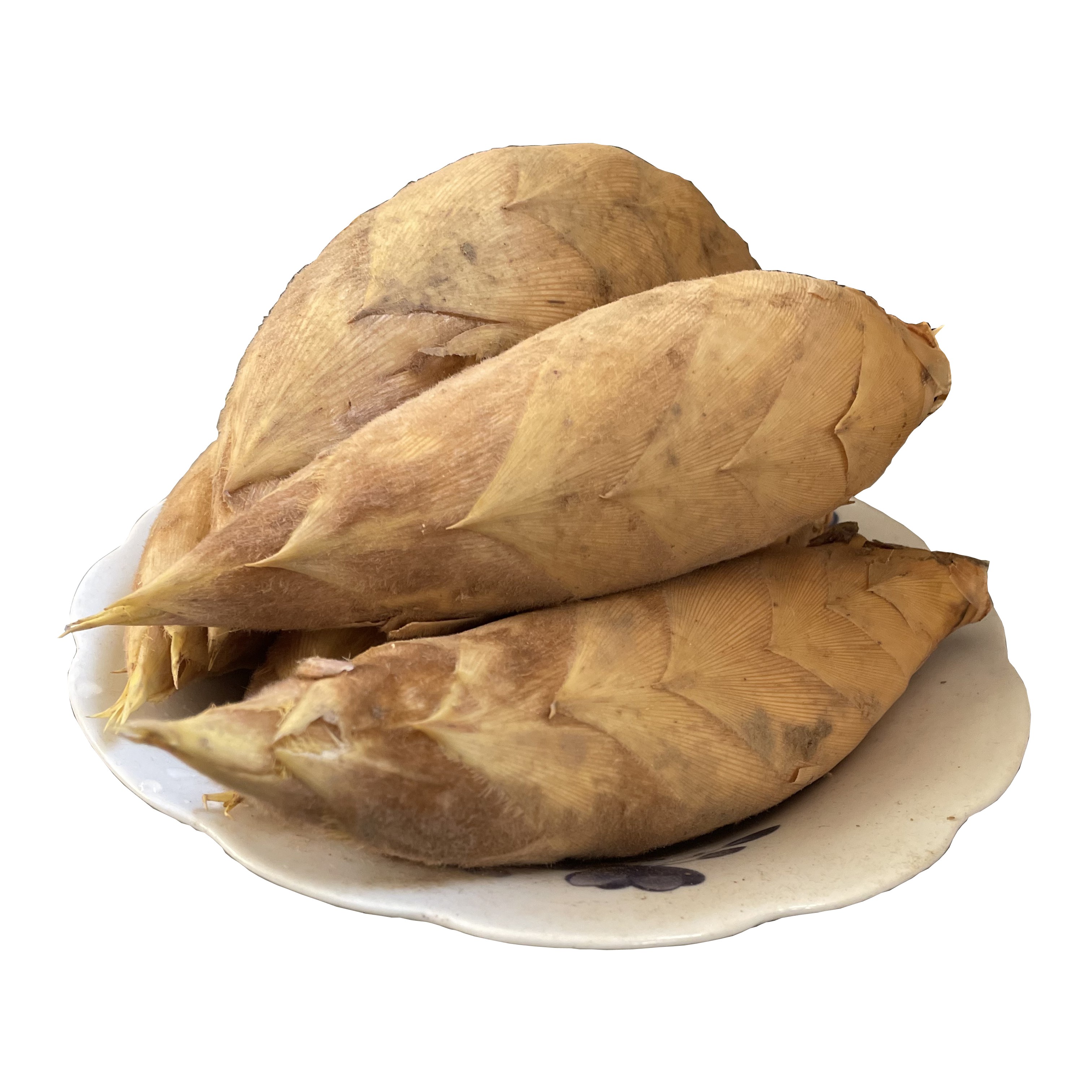 2025现挖新鲜冬笋批发安徽黄山农家野生带壳黄泥大冬笋毛竹笋蔬菜