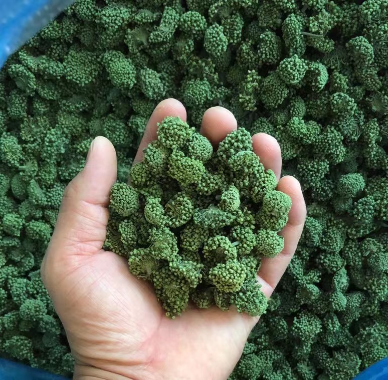 2025年刚晒干的云南土特产文山三七花250克500克食用浓郁品质