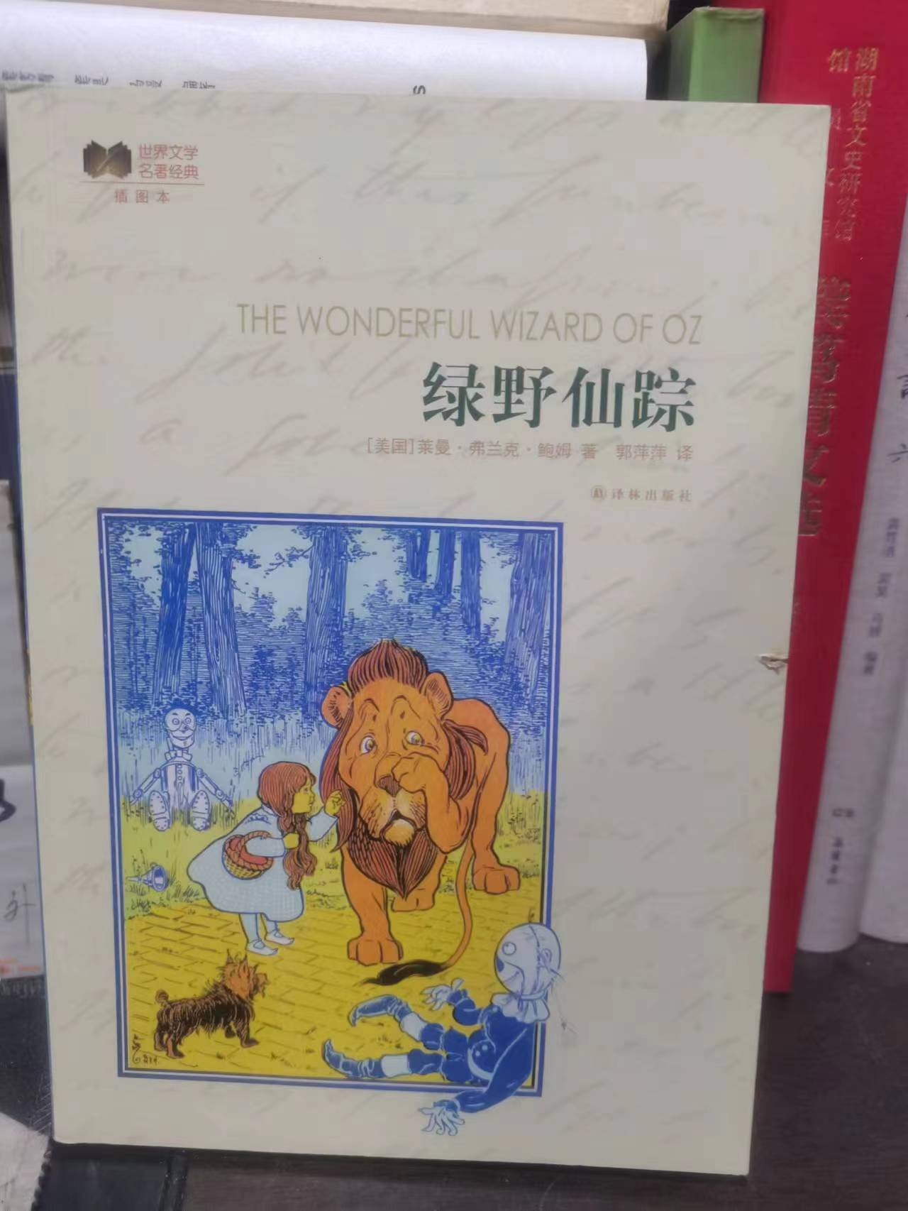 二手书籍童书绘本历史文学 瑕疵书籍绿野仙踪