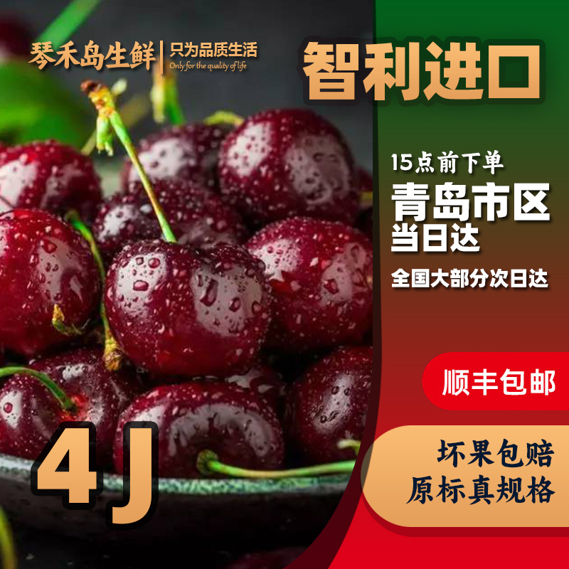 海运新柜智利车厘子