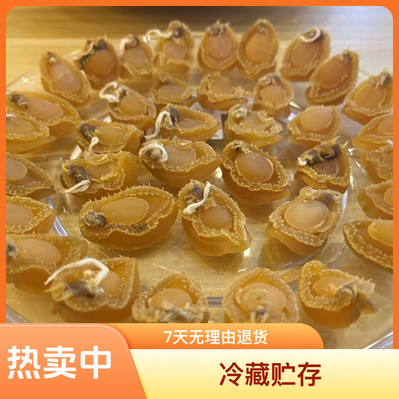 120头   大连黄金鲍鱼