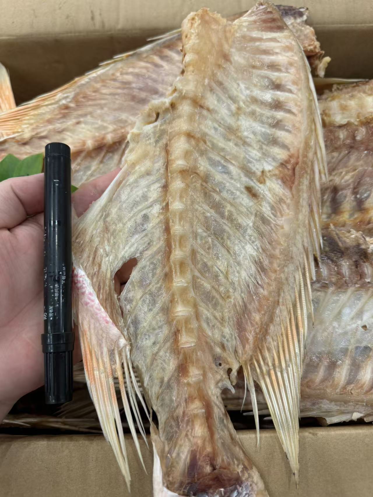 整条去肉  红鱼骨  煲汤 蒸 煲萝卜