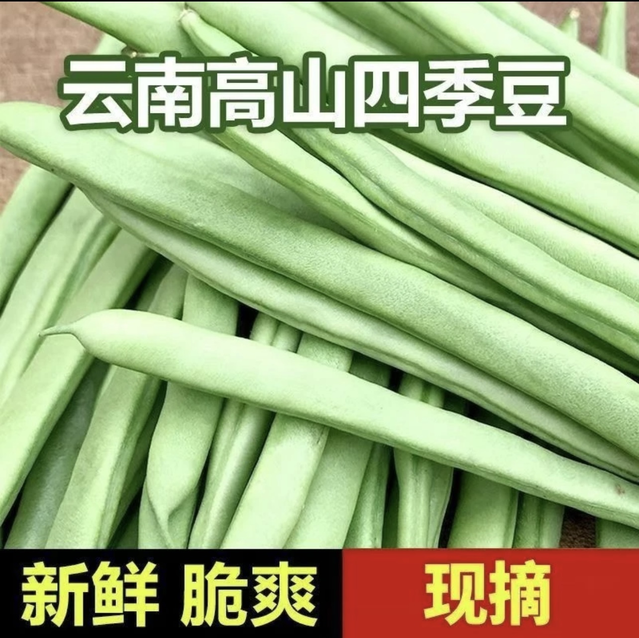 云南 露天种植 四季豆  新鲜 当季 无筋豆 长角豆 蔬菜 现摘现发 