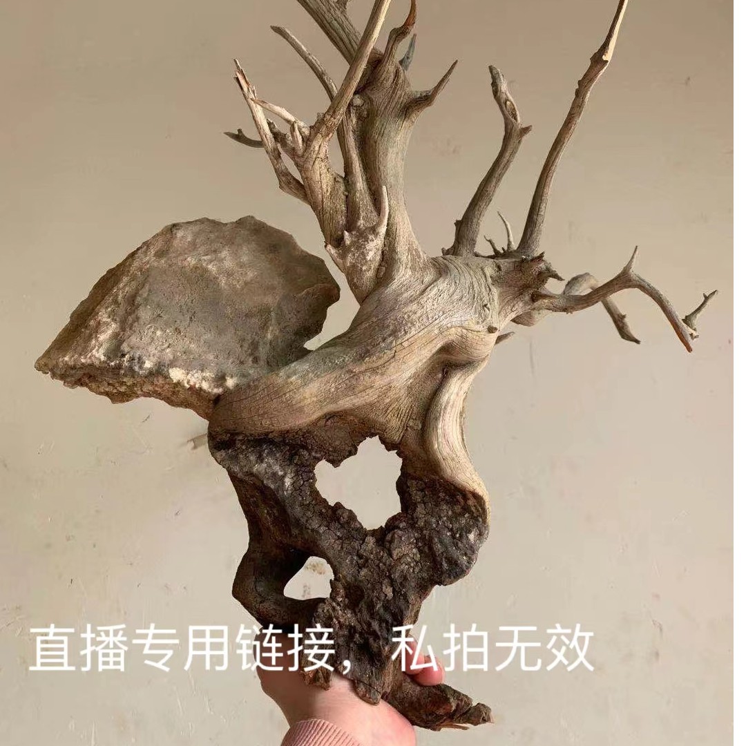 崖柏工艺摆件，图片仅供参考