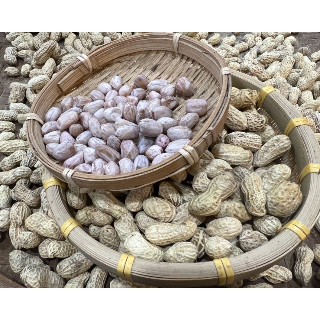 连州农产品农家自种自晒本地花生白衣盐水花生食用250G/500G
