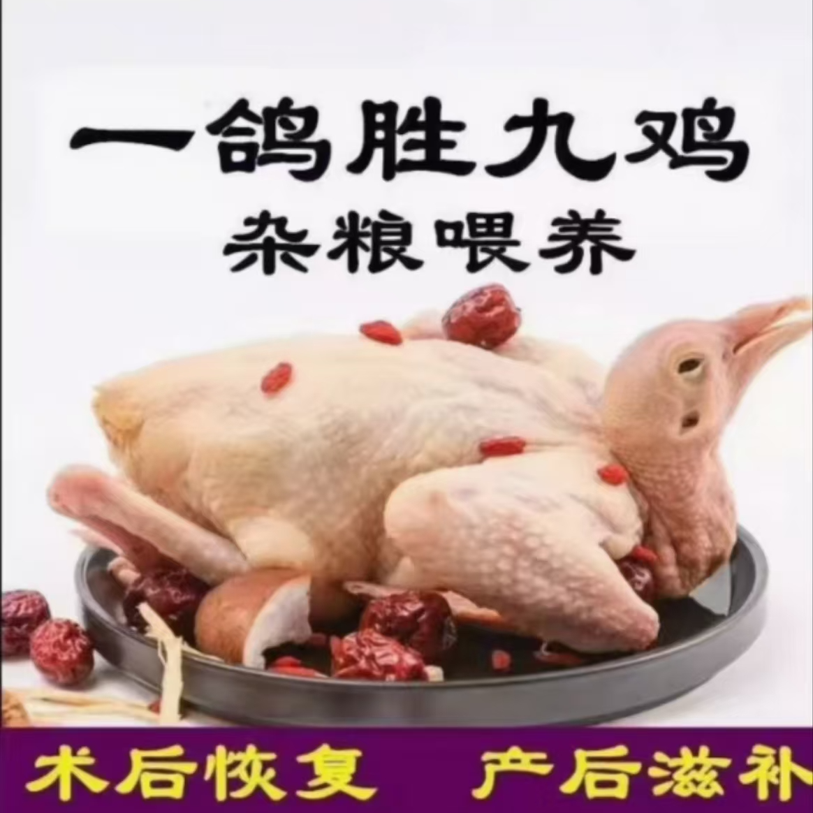 连州正宗农家杂粮散养3年以上土鸽子老鸽肉新鲜现宰煲汤3只/5只