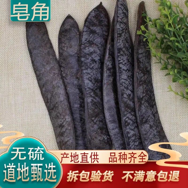 皂角野生 干皂角大皂角长皂角皂荚野生 天然洗发防脱500g包邮结婚