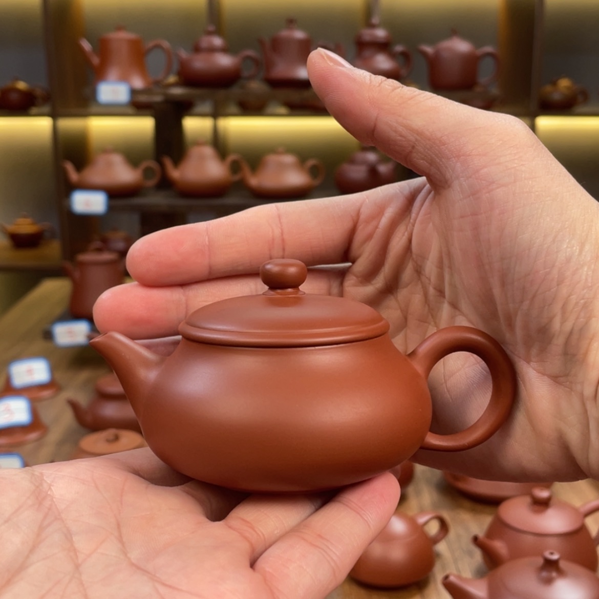 【闪购商品】朱泥壶小**学