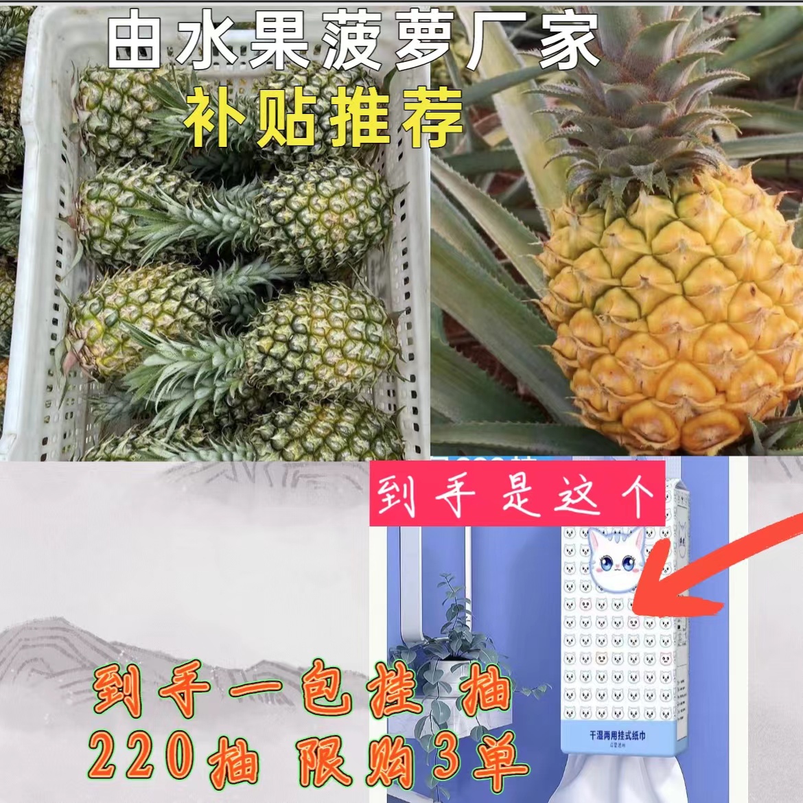 【到手一包220抽】 由推广厂家水果菠萝补贴推荐