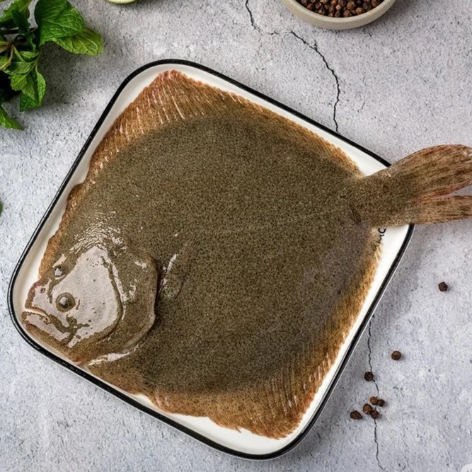 【超值福利】多宝鱼默认宰杀（500-550g）