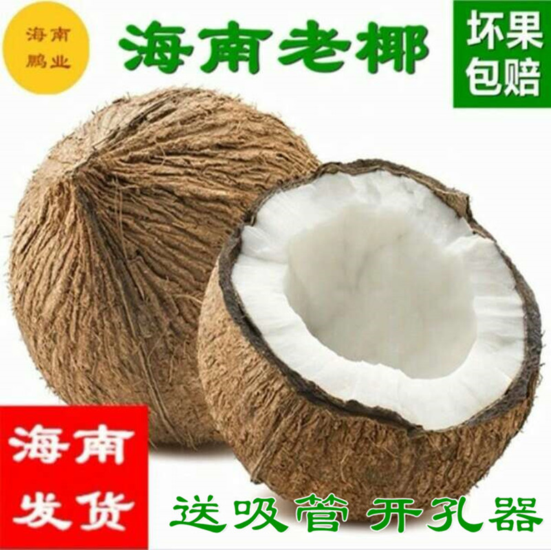 【果丫丫】海南新鲜老椰子去皮毛椰煲汤椰青特产孕妇水果每个果重 1